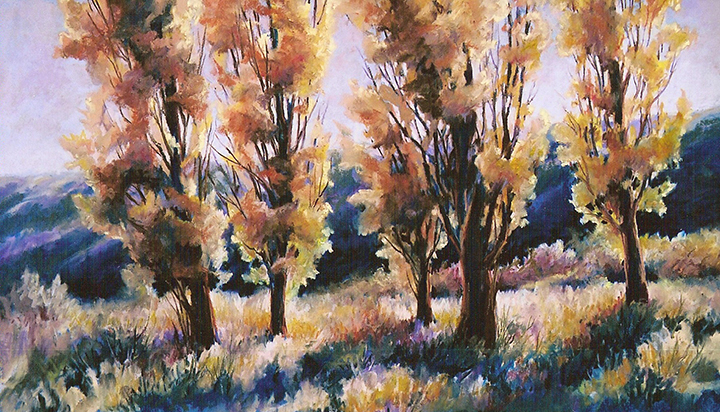 Afternoon Light