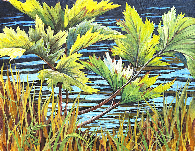 Streamside plant with large green leaves