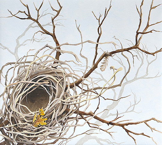 Empty Nest