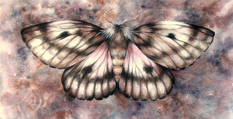 Pandora