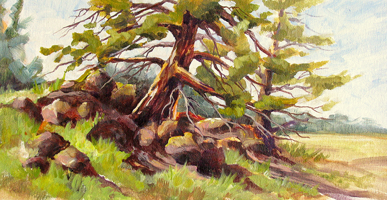 Riley Ranch